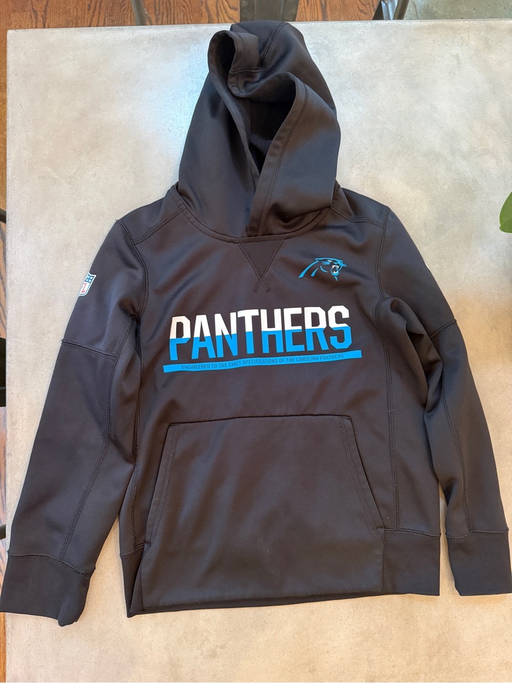 Youth Carolina Panthers Hoodie